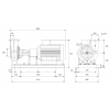 Габариты консольного насоса Grundfos NK 200-450/391 BAQE
