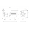 Габариты консольного насоса Grundfos NK 250-350/318 BAQE