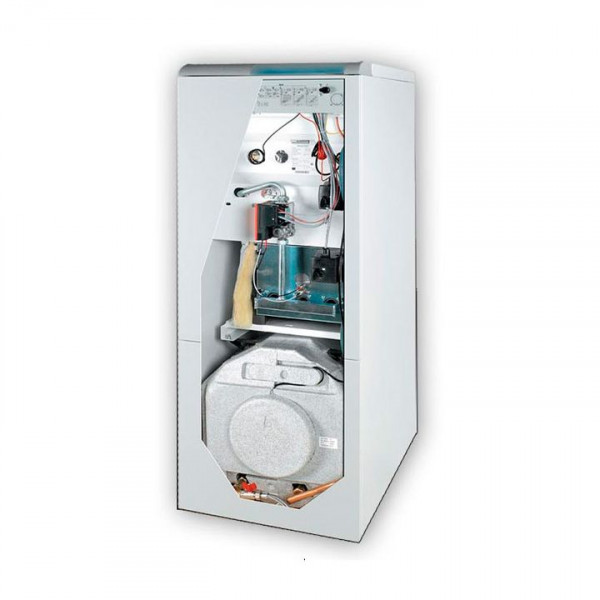 Protherm Медведь 30 KLZ v. 17, Напольный газовый чугунный котёл Протерм со встроенным бойлером