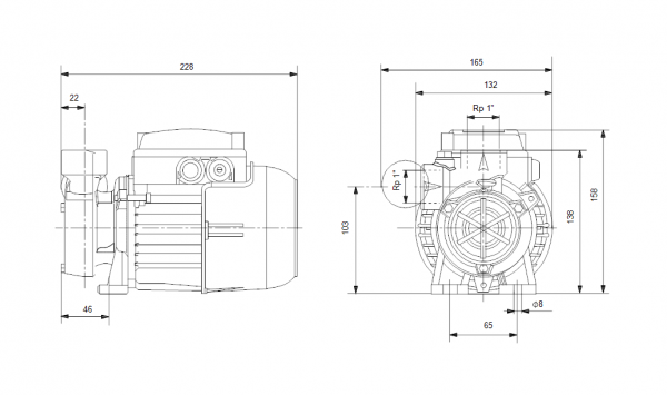 Габариты вихревого насоса Grundfos PF 1-30