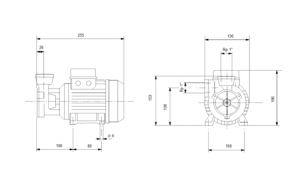 Габариты вихревого насоса Grundfos PF 2-50