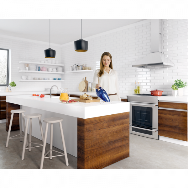 Ручной пылесос Electrolux ZB5104WDB