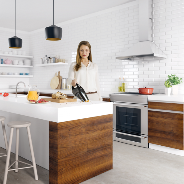 Ручной пылесос Electrolux ZB5112E